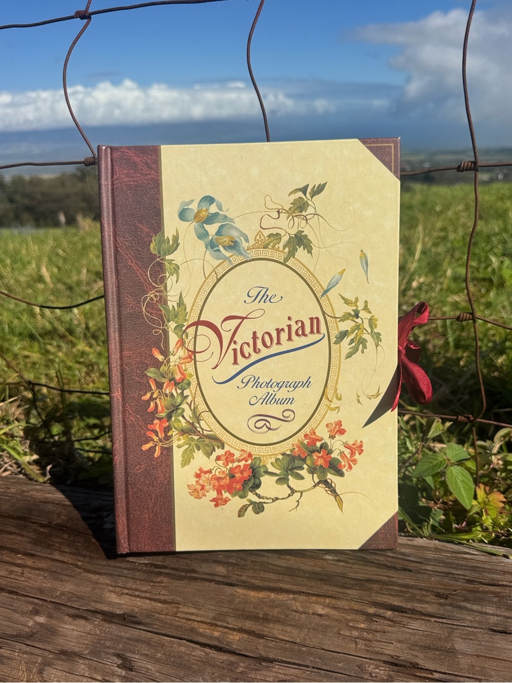The Victorian photograph album New
